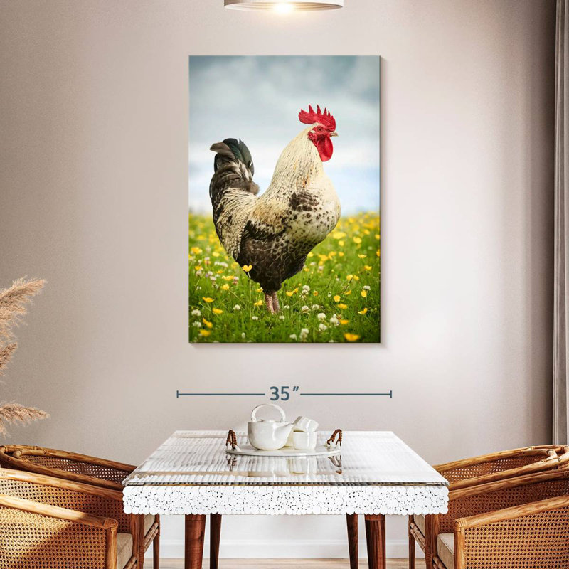 Coq anglais, H 48 po x l 32 po