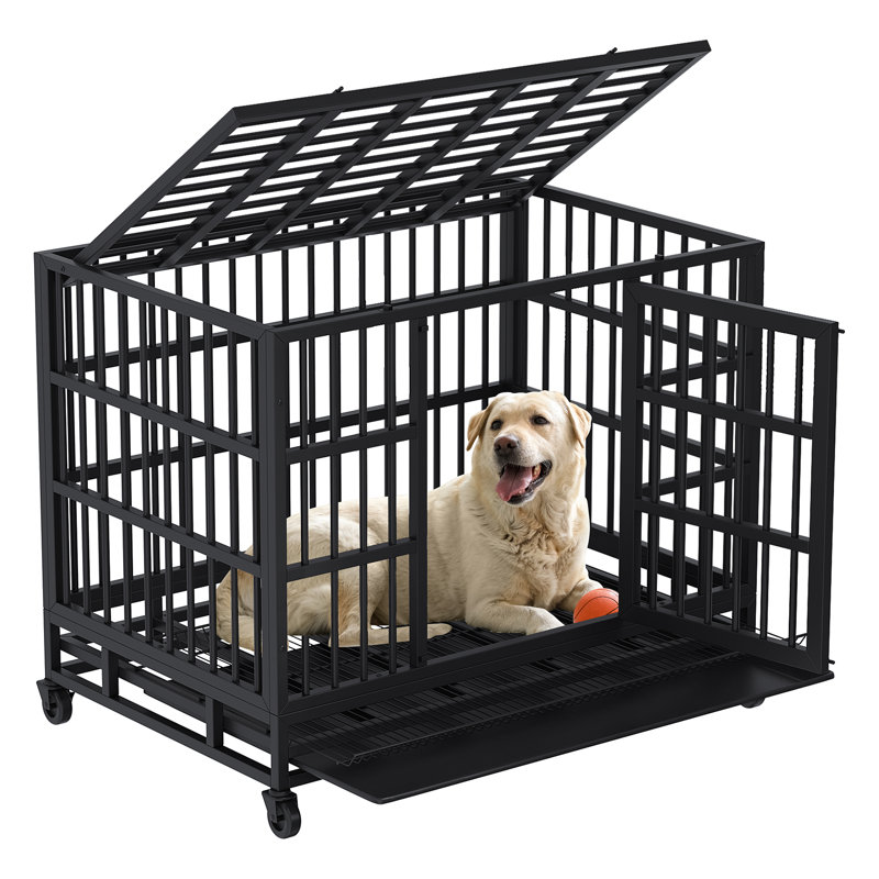 Cage pour chien robuste Stratford, H 35,6 po x l 47,1 po x P 29,9 po