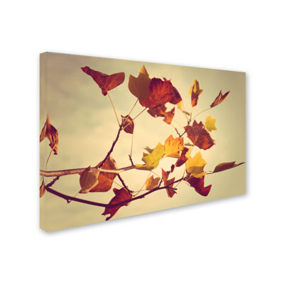 Nature morte par Philippe Sainte-Laudy - reproduction de photo sur toile
