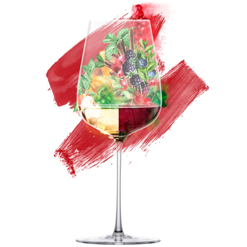 Danaja White Wine Glass Set, 580ml