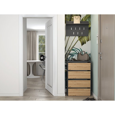 Sidwel 10 Pair Shoe Storage Cabinet