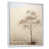 White Floater Framed