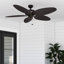 Ventilateur de plafond intérieur / extérieur Duval