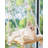 Cat Window Perch - Cat Hammock For Window - Solid Wood Seat & Strong Suction Cups - Cat Window Bed & Furniture For Cats Inside - Hanging Window Shelf For Small Medium Indoor Cats