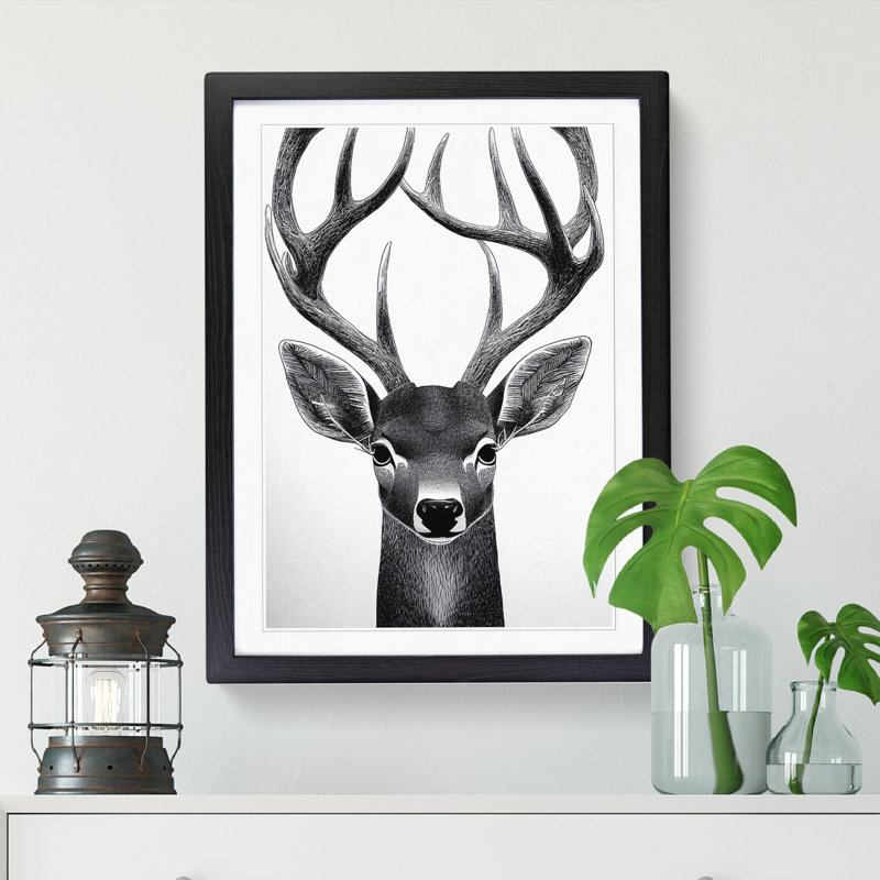 Face Of A Deer - Single Picture Frame Print, Black, 64cm H x 46cm W x 2cm D