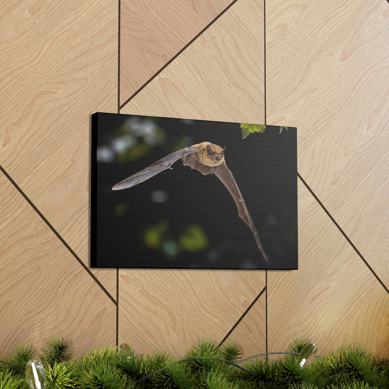 No Frame Print on Canvas, 27.94cm H x 35.56cm W
