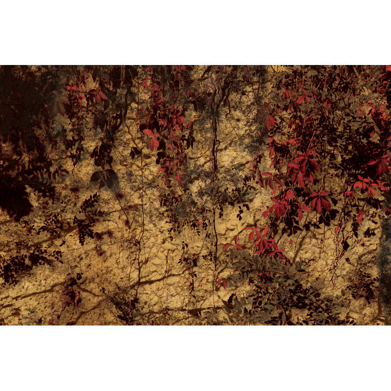 Hanging Vines - Wrapped Canvas Art Prints, 30cm H x 46cm W x 3.8cm D