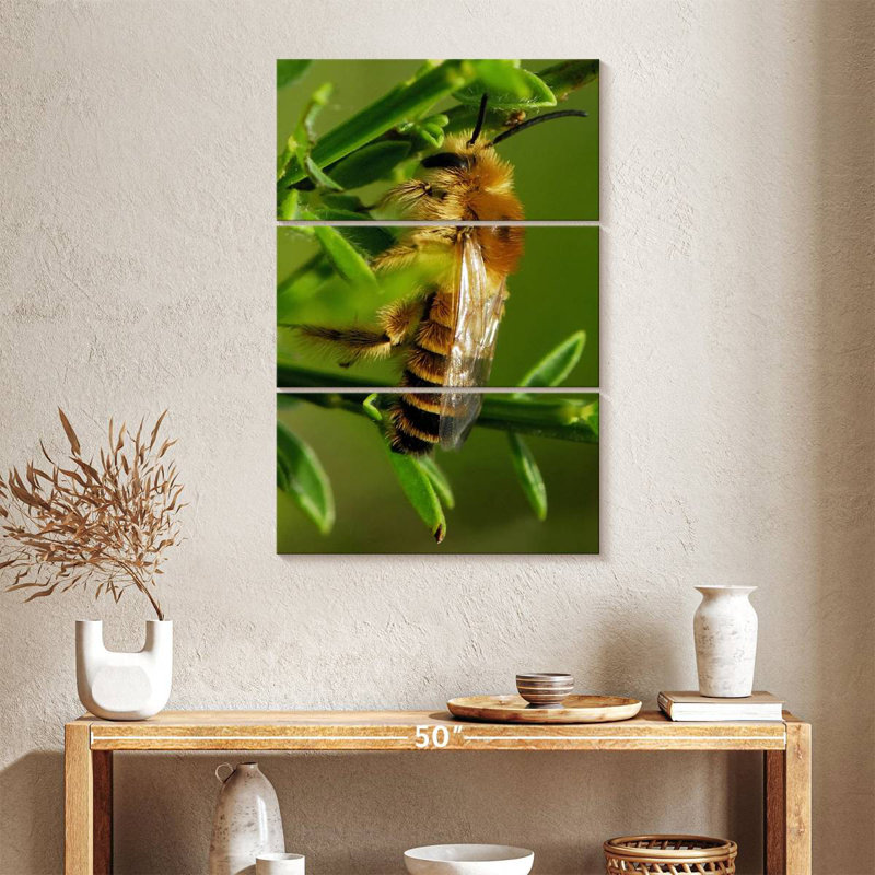 Brampt Bee Bee Bee, 32" H x 20" W