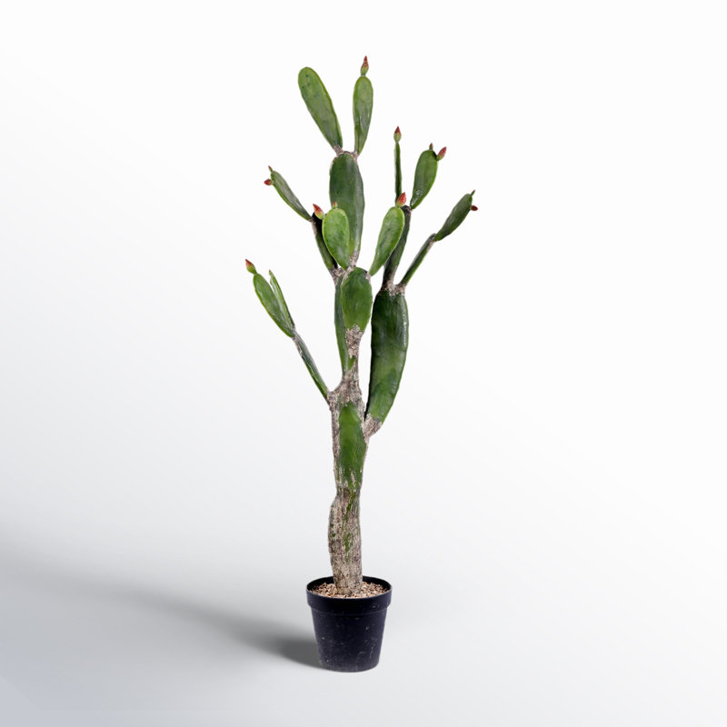 Cactus artificiel en pot, l 57 po x l 14 po x P 16 po
