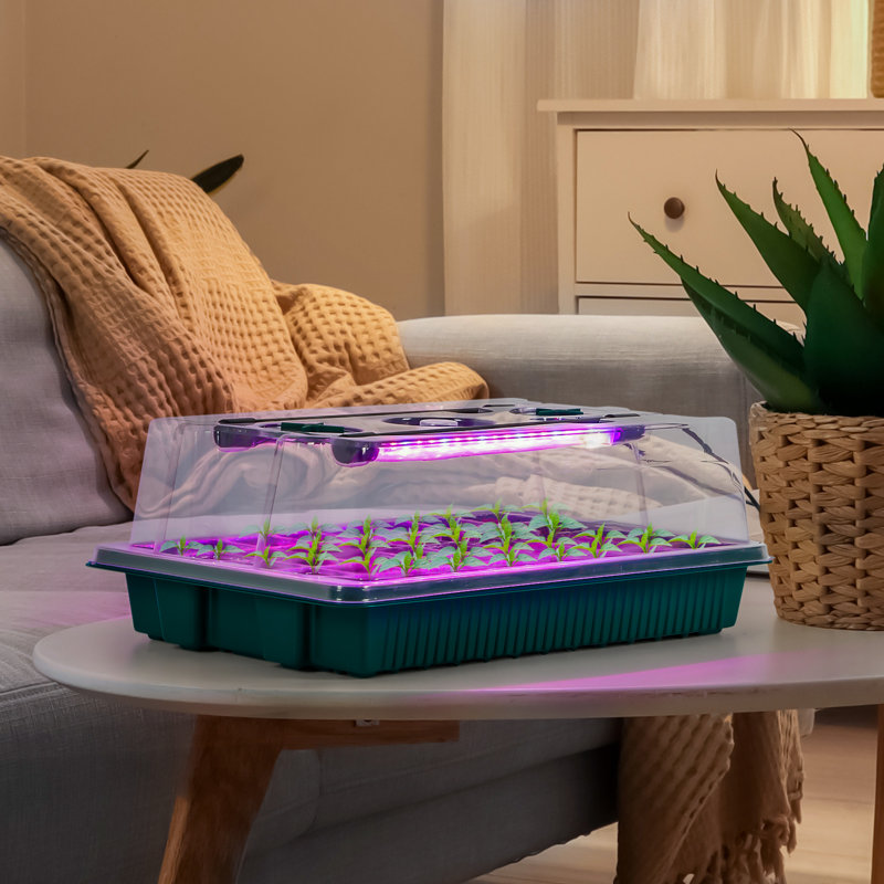 Ensemble de germination à 2 couches pour les semis, système de jardinage intérieur