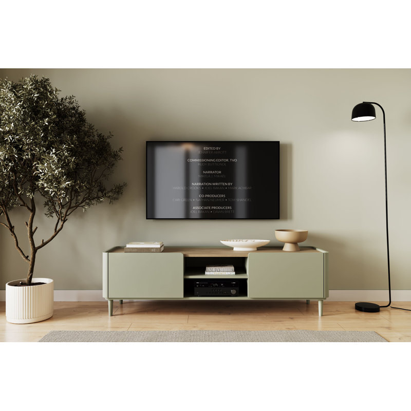 Blackett Unfinished TV Stand for TVs up to 77", 48 cm H x 170 cm L x 48 cm W, Green/Brown