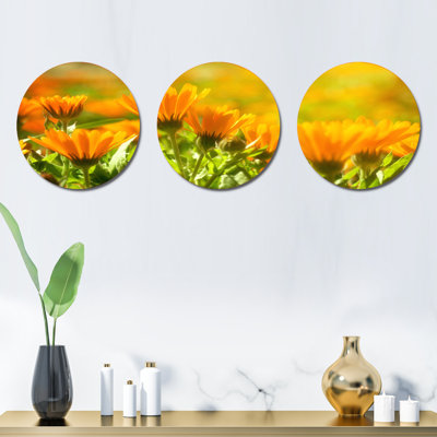 Plants & Flowers Wall Decor on Metal