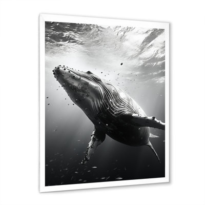 Whale Dance II - Whale Animal Wall Art