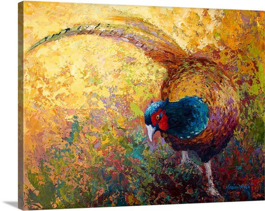 "Forager Pheasant" par Anke, reproduction d'art sur toile tendue, H 27 po x l 36 po x P 1,5 po, Toile tendue