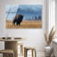 Mountain Bison I High-Gloss Frameless Acrylic Glass Wall Art Animals Print by Oliver Gal, Ready to Hang, 15 x 10-49073756-49073774
