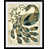 Cadre noir n'est pas disponible