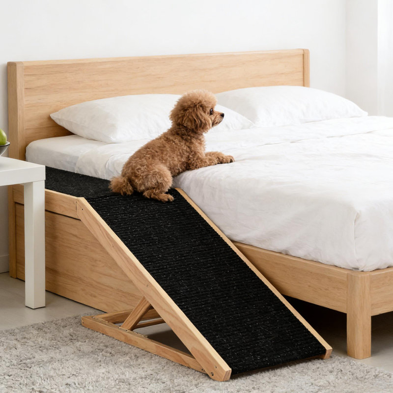 Rampe pour animaux pour aider les animaux à monter sur les meubles, hauteur réglable, rampe en pin, animaux pliables et grands, réglage de la hauteur à quatre positions, surface