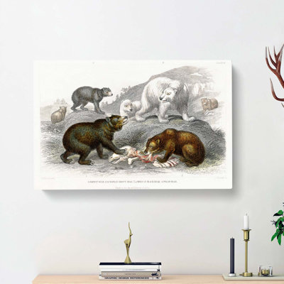 Polar, Grizzly, Brown And Black Bears by Oliver Goldsmith - Wrapped Canvas Print