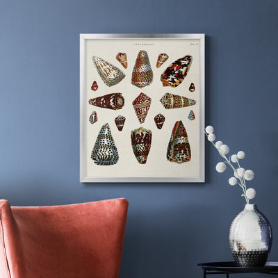 Spiral Shell Formation V Premium Framed Canvas - Ready to Hang