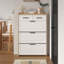 9 Pair Shoe Storage Cabinet