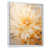 Cadre flottant blanc sélectionné