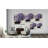" Purple Jewel "-819183871-859640456-909969360