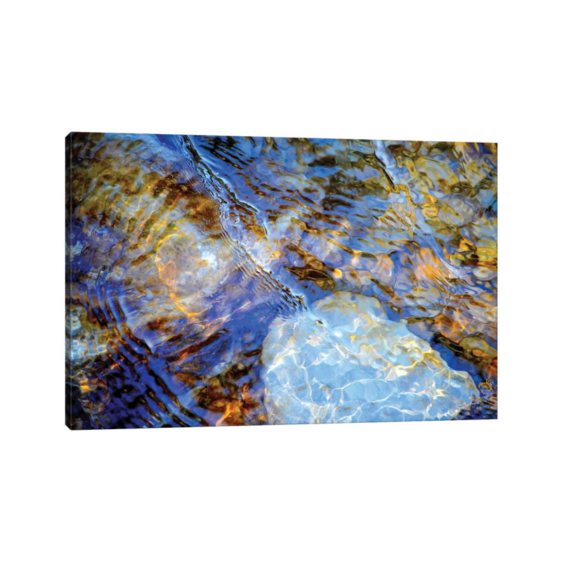 Surprise by Helena Cooper - Wrapped Canvas Gallery-Wrapped Canvas Giclée, 20.32 cm H x 30.48 cm W