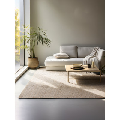 Hand Woven Beige Indoor Rug
