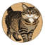  Tapis lavable chats chypriotes-2048577080