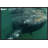 " Southern Right Whale Close Up, Underwater Near Surface, Argentina "-21917925-23175254
