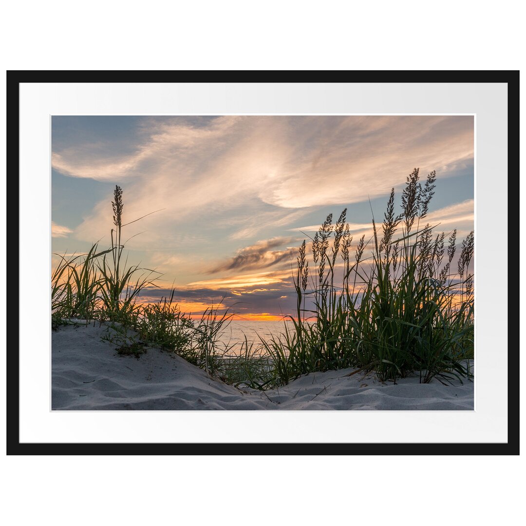 Gerahmtes Poster Gras am Strand bei Sonnenuntergang