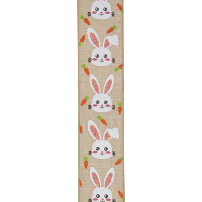 Ruban de bricolage naturel bruns de printemps 2,5 po x 10 pi