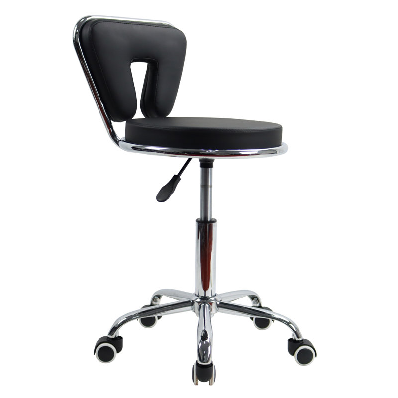 Backed Adjustable Height Ergonomic Lab Stool with Removable Casters/Wheels
