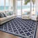 Findlay Indoor / Outdoor Rug