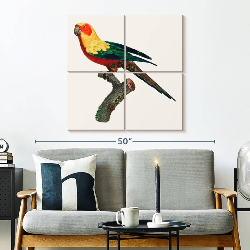 Brampt Sun Conure, 32" H x 32" W