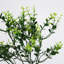 33 cm H Faux Ficus Branch Plant