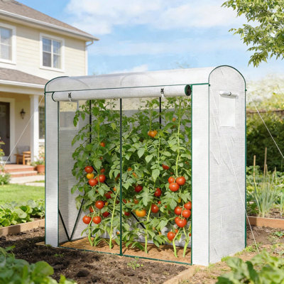 Outdoor Mini Greenhouse,Modern Greenhouse