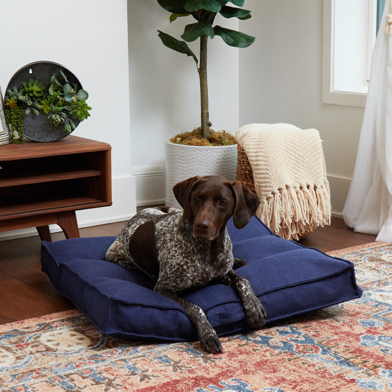 Lit pour chien Longwood, Moyen (l 32 po x P 32 po x H 5 po), Cobalt