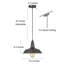 Luminaire suspendu en dome à 1 lumière