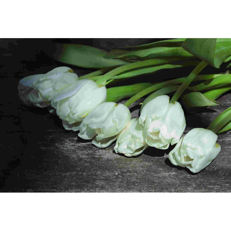 Tulipes cueillies, H 8 po x l 12 po