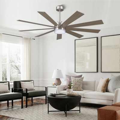 Babrak 65'' Ceiling Fan with LED Lights