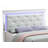 Queen Bed , Silver Champagne(Only Bed)