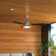Fitchett 52'' Ceiling Fan with LED Lights
