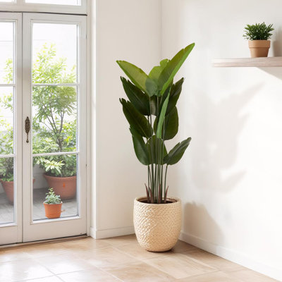 Elegant Faux Palm Trees