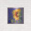 Luxe métal Art «Sunflower I» par Sharon Pitts, Meta «Sunflower I» par Sharon Pitts-101621995