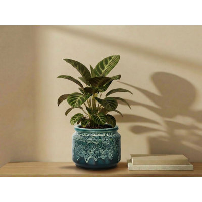 Pot de fleurs Jewel en céramique émaillée à arrosage automatique (lot de 4) - Intérieur/Extérieur