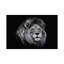 African Lion In Black And White by David Whelan - Wrapped Canvas Print-403135679