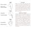 ENSEMBLE ENveloppement pour les cheveux et le corps HAMMAM-419990936