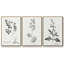 Botanical Imprint I 3 pièces-97757934-97757938