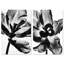 Close Up Set Floral & Botanical Canvas Print by Oliver Gal, Black Frame, 10 x 15-1233859726-1233859740